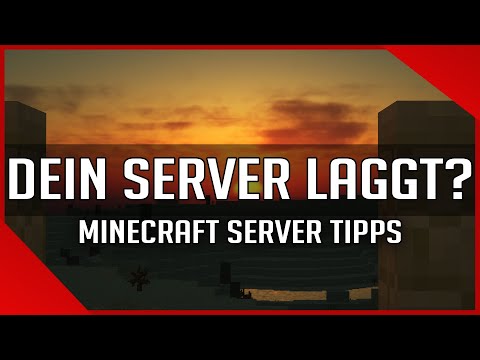 Dein Server LAGGT? - Alles was du über TPS wissen solltest! 📺 Minecraft Server Tipps