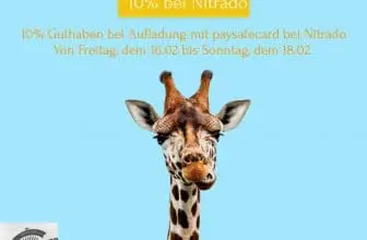 lustiges Bild mit Giraffe wirbt für 10% Gutschein