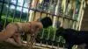 Eine Videospielszene zeigt eine Person in einem Bikini mit Leopardenmuster und Tattoos, die in der Nähe eines Gitterzauns auf dem Gras kriecht. Ihr steht ein schwarzer Panther gegenüber. Im Hintergrund sind üppiges Grün und ein Teil eines Gebäudes zu sehen.