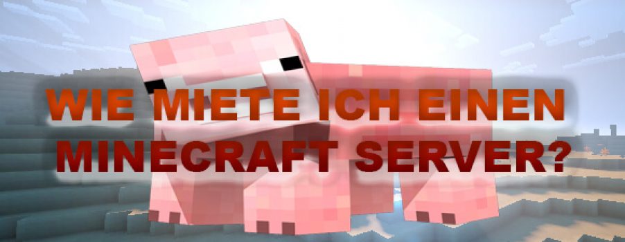 Wie Miete ich einen Minecraft Server?