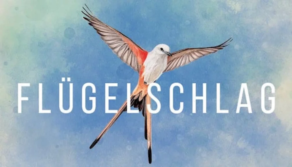 Fluegelschlag zeigt rotweißsen Vogel am Himmel. Humblechoice 11-2021