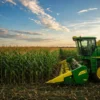Ein grün-gelber Mähdrescher vom Typ Precision Farming LS25 erntet Mais auf einem großen Feld unter einem blauen Himmel mit vereinzelten Wolken bei Sonnenuntergang.