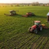 Luftaufnahme eines grünen Ackers mit einem roten Traktor in der Nähe einer Scheune und zwei Erntemaschinen, die unter einem klaren Himmel bei Sonnenuntergang zwischen den Feldern arbeiten, inspiriert vom Realismus des Landwirtschafts-Simulator 25: Patch 1.8.