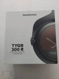 beyerdynamic TYGR 300 r