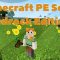 Eigener PE Server mieten ! Wie geht das mit der Bedrock Edition überhaupt?